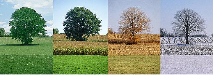 《光环：无限》第二赛季“孤狼”公布 5月3日上线