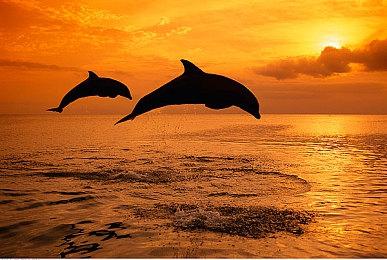 《枪墓GORE》重制版PC配置需求 RTX3080流畅运行